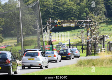 Longleat Safari Park, cars entering the Monkey drive thru enclosure, Wiltshire, England Stock Photo