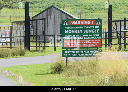 Longleat Safari Park, Monkey drive thru enclosure warning sign, Wiltshire, England Stock Photo