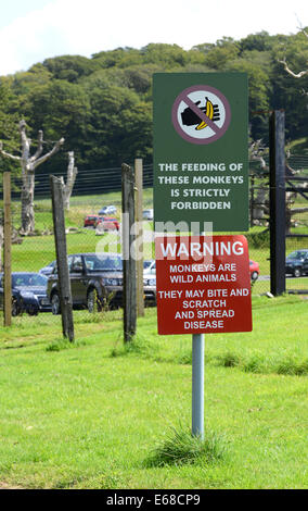 Longleat Safari Park, warning sign at the monkey drive thru enclosure, Wiltshire, England Stock Photo
