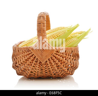 Raw corn cobs in wicker basket isolated on white background Stock Photo