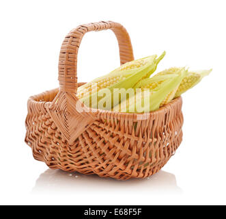 Raw corn cobs in wicker basket isolated on white background Stock Photo
