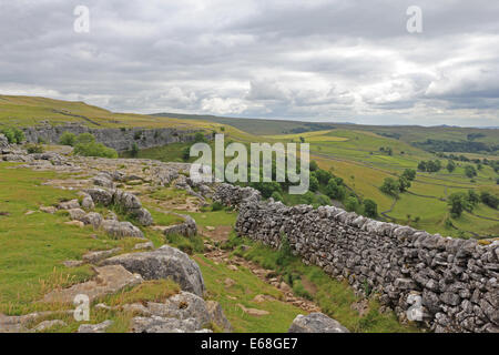 Walking in the Yorkshire Dales National Park near Malham Yorkshire England UK Stock Photo