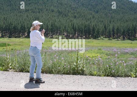 Senior citizen out hiking and taking pictures of flowers. Stock Photo