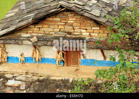 Corn cobs hanging on the white and blue painted facade of a slate roofed house in Landruk village on the Annapurnas Tour route Stock Photo
