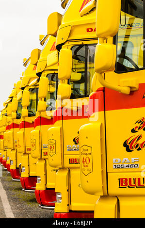 Row of yellow and red lorries parked up. Stock Photo