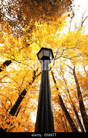 lantern in the park autumn Stock Photo