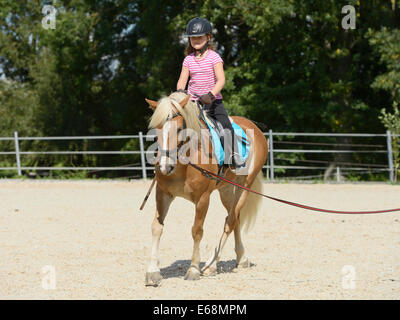 Young girl riding on back of lunged Haflinger horse Stock Photo