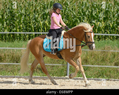 Young girl riding canter on back of Haflinger horse Stock Photo