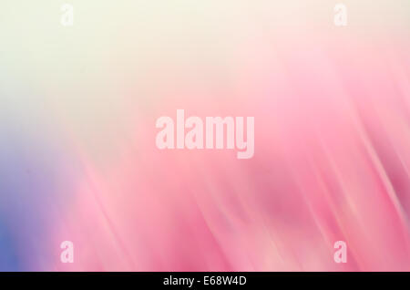 pink and purple motion blurred background Stock Photo
