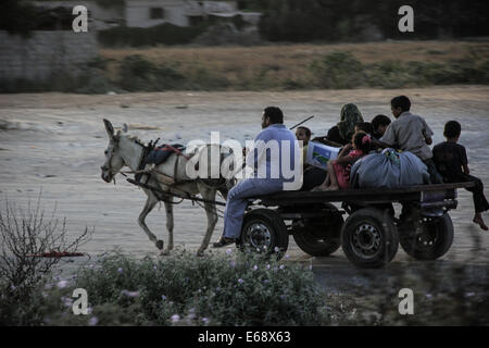 Beit Hanun, Gaza. 18th Aug, 2014. Palestinians flee their destroyed neighbourhood on a horse and cart in the northern Gaza Strip city of Beit Hanun, northern Gaza, in the final hours of the days of cease-fires peaking just before the midnight Monday expiry of a five-day ceasefire. Credit:  Ahmed Hjazy/Pacific Press/Alamy Live News Stock Photo