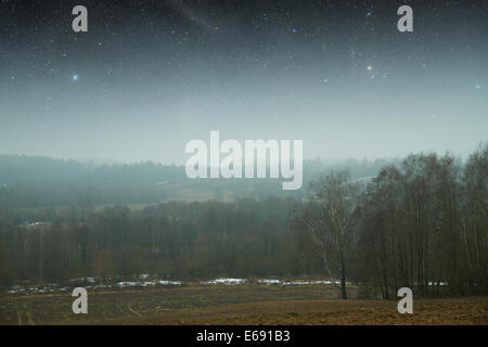 night field forest . Elements of this image furnished by NASA