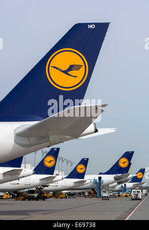 Aircrafts of the Deutsche Lufthansa AG on their parking positions in Terminal 2, Munich Airport, Munich, Upper Bavaria, Bavaria Stock Photo