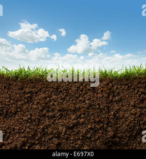 cross section of grass and soil against white background Stock Photo ...