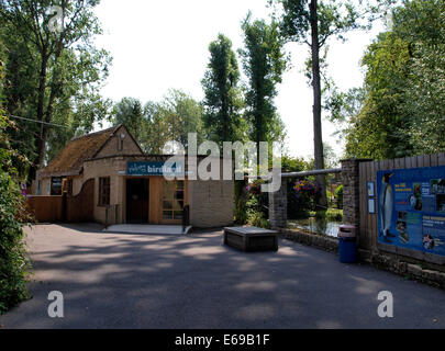 Birdland Bourton-On-The-Water The Cotswolds Gloucestershire UK Stock ...