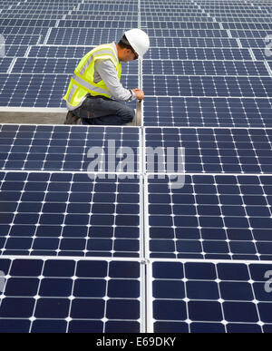 Asian technician working on solar panels Stock Photo
