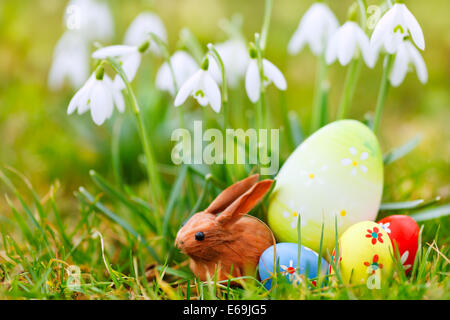 easter nest,snowdrop,early spring Stock Photo