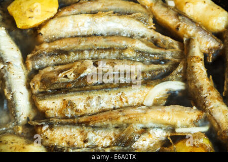 frying capelin fish in oil in pan close up Stock Photo