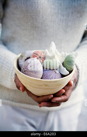 sea urchin,maritim,mussel search Stock Photo