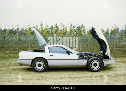 Chevrolet Corvette Stingray C4 4th generation - 1984 Model Year MY in silver grey - showing side view with bonnet hood and trunk boot open showing engine bay Stock Photo