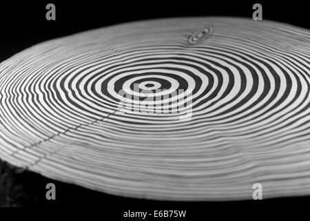 full frame abstract picture showing a piece of wood with black and white painted annual rings Stock Photo
