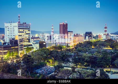 Wakayama, Japan downtown cityscape.
