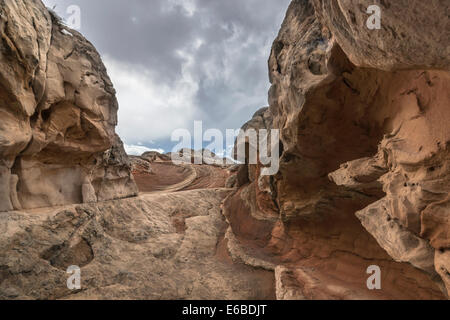 Tessellated Rock Formations in the cliffs overlooking the Giants ...