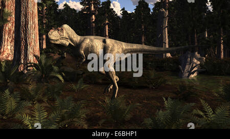 Albertosaurus sarcophagus lived in the Alberta region of Canada about 70 million years ago. It is part of the Tyrannosaur family Stock Photo