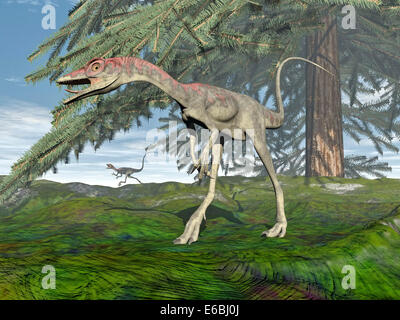Compsognathus dinosaur under fir tree. Stock Photo