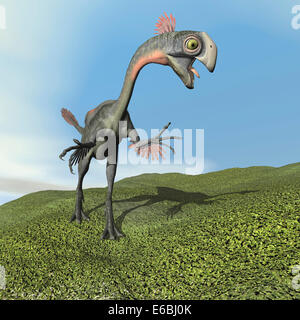 Gigantoraptor dinosaur. Stock Photo