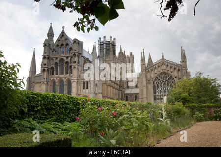 East view of Ely Cathedral from garden. Stock Photo