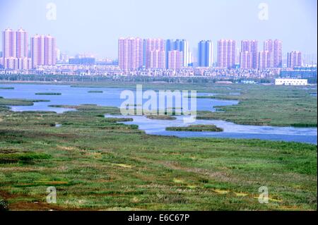 Daqing. 20th Aug, 2014. Photo taken on Aug. 20, 2014 shows the scenery of Longfeng wetland natural reserve in Daqing City, northeast China's Heilongjiang Province. © Wang Song/Xinhua/Alamy Live News Stock Photo