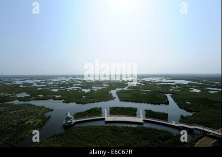 Daqing. 20th Aug, 2014. Photo taken on Aug. 20, 2014 shows the scenery of Longfeng wetland natural reserve in Daqing City, northeast China's Heilongjiang Province. © Wang Song/Xinhua/Alamy Live News Stock Photo