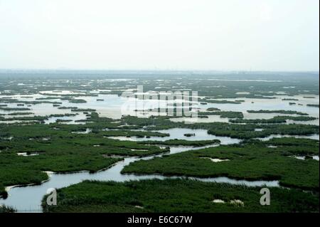 Daqing. 20th Aug, 2014. Photo taken on Aug. 20, 2014 shows the scenery of Longfeng wetland natural reserve in Daqing City, northeast China's Heilongjiang Province. © Wang Song/Xinhua/Alamy Live News Stock Photo