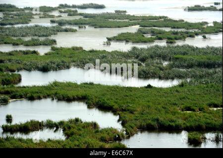 Daqing. 20th Aug, 2014. Photo taken on Aug. 20, 2014 shows the scenery of Longfeng wetland natural reserve in Daqing City, northeast China's Heilongjiang Province. © Wang Song/Xinhua/Alamy Live News Stock Photo