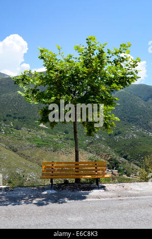 Bench under a tree Stock Photo - Alamy