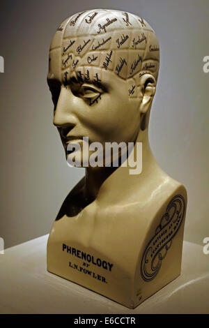 Phrenology bust by L.N. Fowler, pseudoscience of the nineteenth century Stock Photo