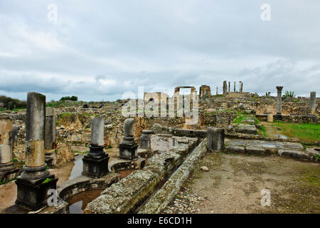 Volubilis,excavated Roman city in Morocco,Fertile Valley,Olives,agriculture,Paul Street Travel & Landscape Photographer,Morocco Stock Photo