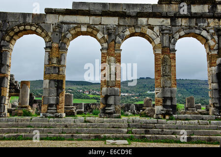 Volubilis,excavated Roman city in Morocco,Fertile Valley,Olives,agriculture,Paul Street Travel & Landscape Photographer,Morocco Stock Photo