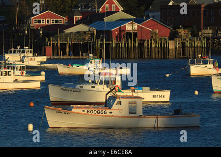 USA, North America, Maine, Bernard, Fishing boats anchored in Bass Harbor. Stock Photo