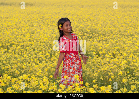 Dec. 25, 2010 - Bangladesh - mustard field in Bangladesh.Mustard is a cool weather crop and is grown from seeds sown in early spring. From mid December through to the end of January, Bangladesh farmers cultivate their crops of brightly coloured yellow mustard flowers that are in full bloom. (Credit Image: © Zakir Hossain Chowdhury/ZUMA Wire) Stock Photo
