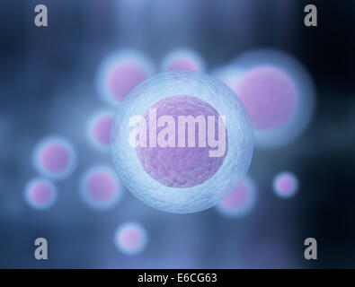 3d rendered illustration of human cells Stock Photo