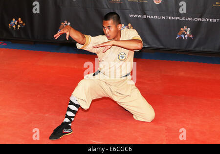 London, UK. 20th August, 2014. A disciple performs Shaolin Kung Fu during the press conference for the third Shaolin Cultural Festival held in Shaolin Temple UK in London, Britain on Aug. 20, 2014. The third Shaolin Cultural Festival will be held in London from Oct. 8 to Oct. 14, 2014. Credit:  Han Yan/Xinhua/Alamy Live News Stock Photo