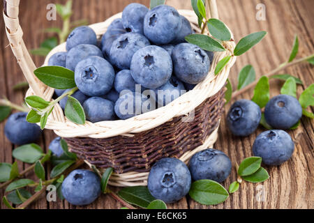Ripe Blueberries Stock Photo