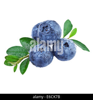 Blueberry isolated on white Stock Photo