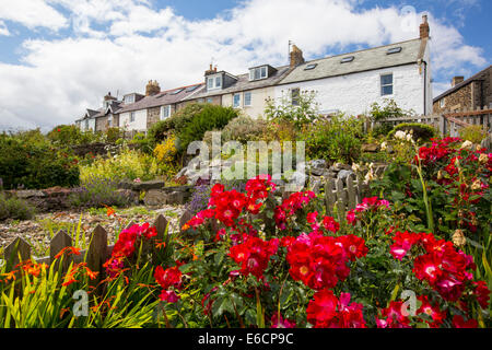 Seafront cottages in Craster, Northumberland, UK. Stock Photo