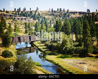 A rustic wood bridge reflects in the river surrounded by pine trees and grassland in a rural community. Stock Photo