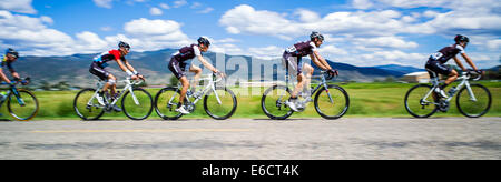 Professional bicycle racers, USA Pro Challenge bike race, Stage 3, central Colorado, USA Stock Photo