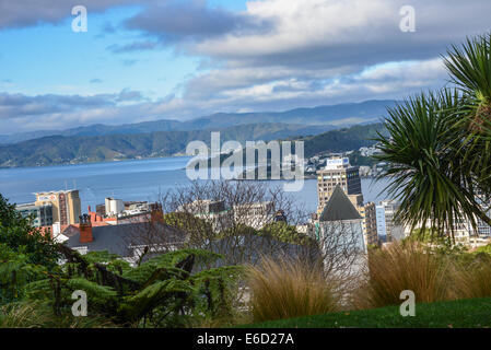 view over bay of wellington capital city new zealand Stock Photo