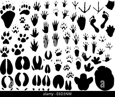 Collection of vector outlines of animal foot prints Stock Vector