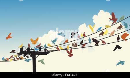 Vector silhouettes of colorful birds roosting on telegraph wires Stock Vector